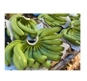 Plátanos Cavendish verdes frescos fabricados en Vietnam en caja de cartón de 13,5 kg para la agricultura de exportación de supermercados - Product Image 1