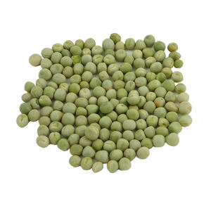 Meilleure graine de pois de qualité supérieure à bon prix et de bonne qualité - Product Image 1