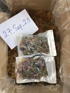 MEILLEURE VENTE SEC PURPLE SEAMOSS/IRISH SEAMOSS // Lily - Product Image 6