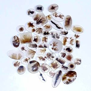 AAA + Shazar Dendrite Agate Cabochon Scenic Dendritic Agate Cabochon Natural Shazar Dendrite Gemstone Mix shazar Agate - Product Image 3