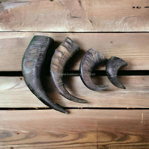 Jouets à mâcher pour chiens en corne de buffle sculptée de haute qualité, en tailles petite, moyenne et grande - Product Image 3