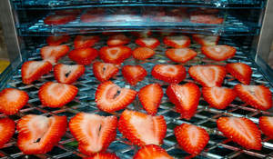 Hot Selling <b>Sugar</b> <b>Free</b> Soft Dried Fruits Strawberry Snacks Healthy Food With Competitive Price for Importing - Product Image 2