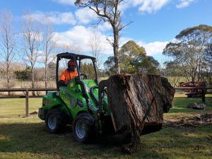 Minicargadora Arborist Avant 423 con Motor Yanmar, Paquete Arborist - Product Image 2