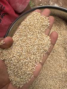 เมล็ดงาขาวธรรมชาติคุณภาพพรีเมียม เกรดสูง สะอาด ไร้สิ่งเจือปน เหมาะสำหรับใช้ในงานครัว อบขนม และจำหน่ายในปริมาณมาก - Product Image 2