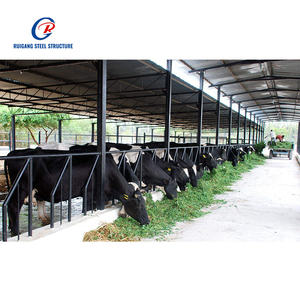 Hangar à structure en acier avec zone d'alimentation et ventilation sur le toit pour ferme laitière ou vache bovine - Product Image 6