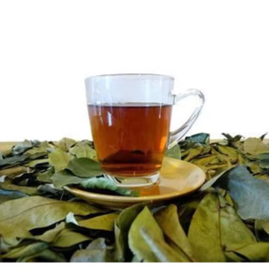 Annona muricata-drier SOP ใบไม้-Wildcrafted-safaty - Product Image 1