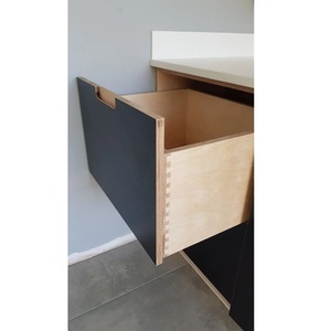 กล่องพลาสติก MDF Modular plybox หลายสีสไตล์อเมริกันที่ทันสมัยครอบคลุมอะคริลิคปรับแต่งได้ P2ได้รับการรับรองจาก sangvi - Product Image 3