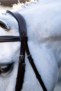 2018 Venta al por mayor de alta calidad Western Horse Leather Brida Venta caliente a precio competitivo - Product Image 6