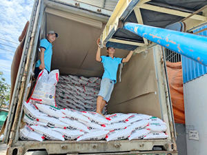 #1 Arroz Calrose-Arroz de grano medio premium-Arroz Camolino - Product Image 4