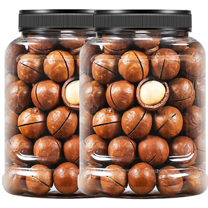 Noix de macadamia, collation sèche, type de transformation brute, produit comestible délicieux - Product Image 2