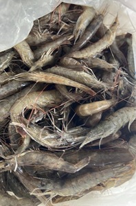กุ้งแดงแช่แข็งจำนวนมาก พร้อมจัดส่งทั่วโลกและสำหรับการค้าเชิงพาณิชย์ - Product Image 6