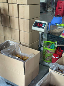 Chips de Jackfruit Crujientes y Secos, Fritos al Vacío, Snack Tropical para Exportación - Product Image 2