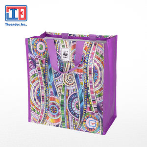 Bolsas de Compra Reutilizables Ecológicas de Tela No Tejida de PP de Fabricante Vietnamita con Calidad Superior y Precio Razonable Thuan Duc JSC - Product Image 2