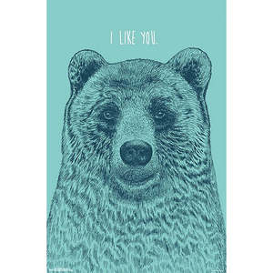 Póster de Rachel Caldwell con diseño de I Like You Bear, hecho de papel duradero para decoración de pared - Product Image 1