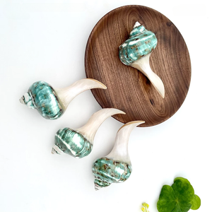 ที่ใส่ตะเกียบเปลือกหอยสีเขียวทำด้วยมือสำหรับตกแต่งที่วางของเปลือกหอยมุกสำหรับโต๊ะซูชิชุดของขวัญงานแต่งงาน100% งานฝีมือจากเวียดนาม - Product Image 3