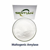 Poudre d'enzyme amylase maltogénique de qualité alimentaire 1 000 000 U/g, agent anti-âge pour le pain, prolongateur de durée de conservation