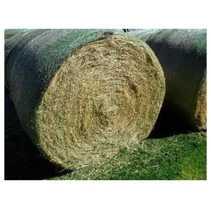 หญ้าแห้งอัลฟัลฟ่า/หญ้าแห้งทิโมธีและเบอร์มิวดา - Product Image 4