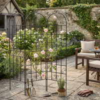 Treillis de jardin en métal pour l'extérieur, lot de 4 supports en fer pour plantes grimpantes (roses, clématites), approvisionnement en gros