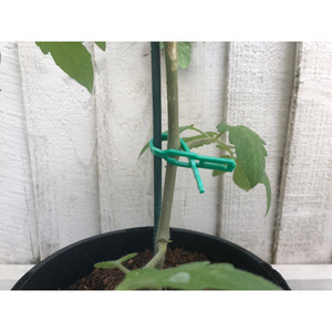 TG77621 Clips de jardinage réglables en plastique pour plantes grimpantes, lot de 50 pour le soutien des plantes - Product Image 3
