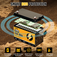 Batterie au phosphate de fer de lithium 12v 24v 48v 100ah 200ah 300ah Cycle profond Stockage d'énergie Batterie Lifepo4 avec BMS