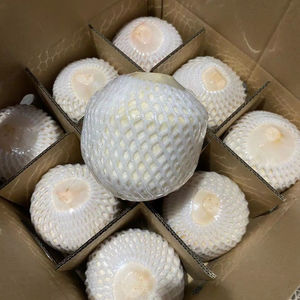 Noix de coco fraîche du Vietnam, fabriquée à partir de la coque de noix de coco naturelle, utilisée pour les boissons et l'exportation. - Product Image 1