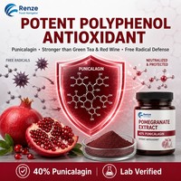 Granaatappel Extract 40% Punicalagin Poeder Punica Granatum Fruit Schil Natuurlijk Polyfenol Supplement Ingrediënt