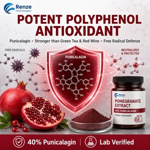 Estratto di Melograno 40% Polvere di Punicalagina, Polifenolo Naturale da Buccia di Punica Granatum, Ingrediente per Integratori - Product Image 2