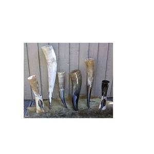 Cuerno para beber de Búfalo con paso de cuero largo La mejor calidad Tamaño diferente 3 piezas Cuerno para beber de búfalo - Product Image 5