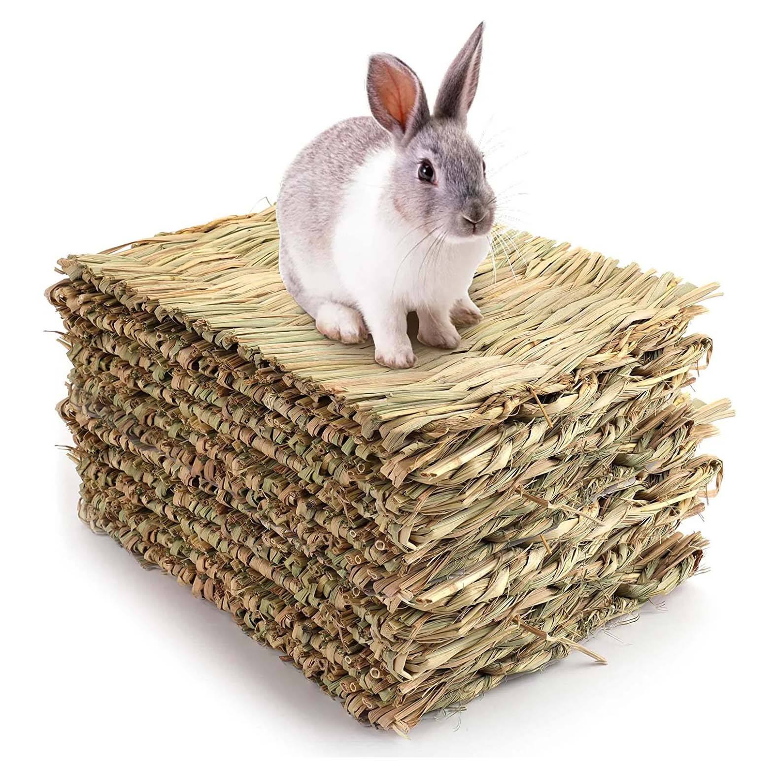 ธรรมชาติ