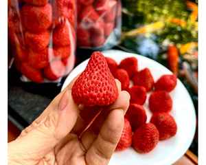 Fresas liofilizadas de primera calidad de Vietnam, ideales para marcas de aperitivos y minoristas, fresas liofilizadas a granel 99GD - Product Image 2