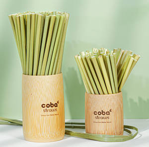 ย่อยสลายได้และธรรมชาติหญ้าฟางดื่มเวียดนามที่มีคุณภาพสูงทำโดย Eco2go เวียดนามผู้ผลิต - Product Image 3