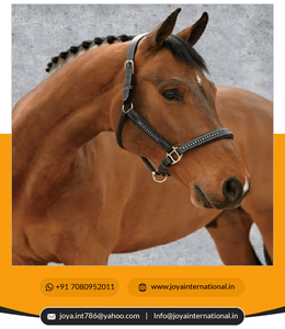 Producto actory irect, venta al por mayor - Product Image 4