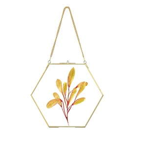 Pressed <b>Leaves</b> Wall Decor Plant Brass Hanging Frame for Display Square - Product Image 5