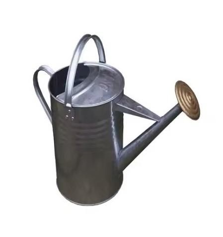 ตามที่แสดง