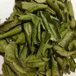 Cao cấp khô ổi lá/chất lượng cao hữu cơ trà thảo dược/sẵn sàng để sử dụng - Product Image 1