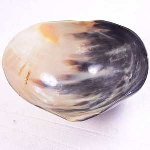 Cuenco de Cuerno de Búfalo Estilo Vintage para Accesorios de Mesa Hechos a Mano, Cuenco de Cuerno Natural de Primera Calidad para Aperitivos, Frutas y Dulces - Product Image 2