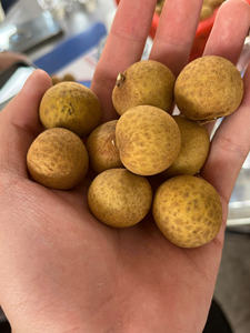 Fruta Longan de Vietnam jugosa para exportación, sabor dulce fresco, cáscara ligera, fruta tropical, embalaje al por mayor para mercados internacionales - Product Image 3