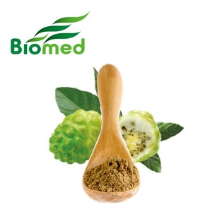 Scopoletin Rich Noni Fruit Extract Powder Natural Plant Source for Nutrition Support - Product Image 1