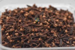 Vente en gros 100% clou de girofle brut Agriculture - Product Image 6