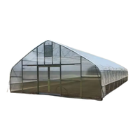 Système d'agriculture hydroponique professionnel en serre multi-voûtes en polycarbonate pour l'agriculture commerciale
