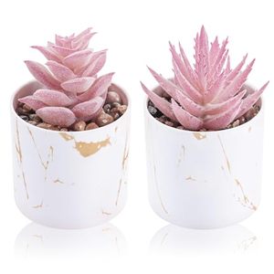 Set di 2 Piante Succulente Artificiali Mini in Vaso, Accessori da Scrivania, Decorazione Rosa per Casa e Vanità - Product Image 1