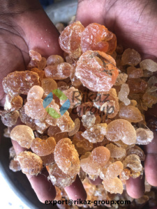 100% poudre de gomme arabe pure biologique du Soudan prix compétitif pour la poudre d'acacia naturel à usage alimentaire pour la transformation de l'agriculture - Product Image 4