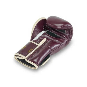 Guantes de Boxeo Fairtex de Alta Calidad para Entrenamiento Profesional de Muay Thai Estilo Mexicano, Guantes de Boxeo Fairtex para Adultos - Product Image 4
