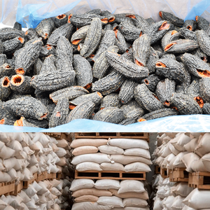 Nhà máy người mua Giá khô dưa chuột biển khô dưa chuột biển để bán - Product Image 6