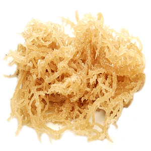 Direct Manufacturer <b>Dried</b> Sea <b>Moss</b> | Vietnam Bulk Orders - Product Image 1