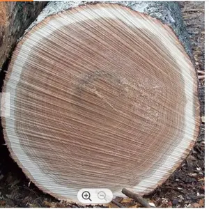 독일 목재 로그/라운드 로그 판매 | 목재 나무 판매