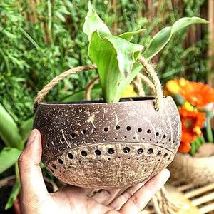 Maceta de planta de cáscara de coco al por mayor en Vietnam/Flor de cáscara de coco con cuerda colgante logotipo grabado gratis hecho por Eco2go Vietnam - Product Image 4