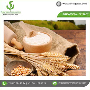 Extrait de germe de blé pur naturel certifié ISO 2025, qualité supérieure, qualité alimentaire, culture sauvage, exportateur indien, vente en gros, promotion - Product Image 3