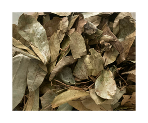 Feuilles de corossol séchées de qualité supérieure, qualité d'exportation, approvisionnement en vrac de feuilles de corossol séchées auprès d'un fournisseur fiable de feuilles de corossol séchées - Product Image 2