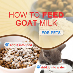 <span class=keywords><strong>Lait</strong></span> <span class=keywords><strong>de</strong></span> chèvre instantané OEM avec probiotiques pour chiens et chats, <span class=keywords><strong>lait</strong></span> <span class=keywords><strong>de</strong></span> chèvre en poudre, formule pour chiots - Product Image 6